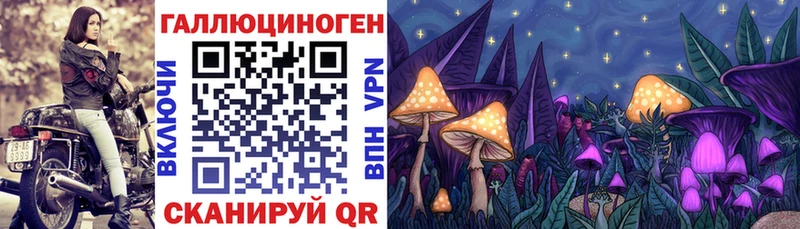 магазин  наркотиков  Клинцы  Псилоцибиновые грибы мицелий 
