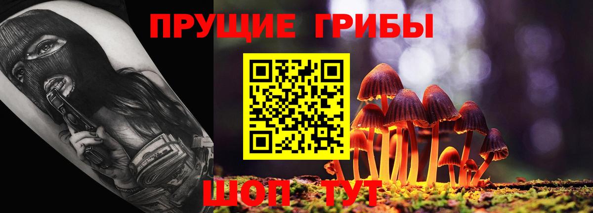 Галлюциногенные грибы Psilocybine cubensis  Галлюциногенные грибы прущие грибы  Вход с VPN  Клинцы 