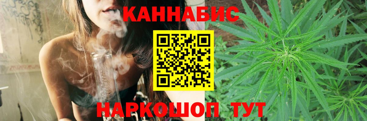 Каннабис OG Kush Клинцы